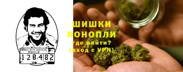 PSILOCYBIN Богородск