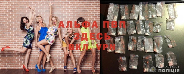 ПСИЛОЦИБИНОВЫЕ ГРИБЫ Снежногорск