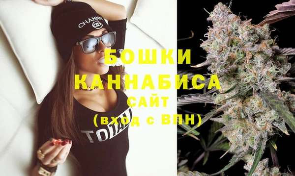 PSILOCYBIN Богородск