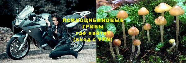 PSILOCYBIN Богородск