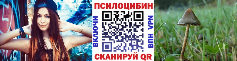 закладка  Костомукша  Псилоцибиновые грибы мицелий 